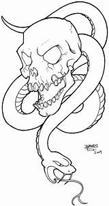 Snake Skull Drawing Getdrawings sketch template