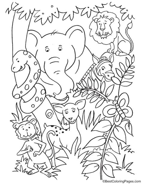 animals   jungle coloring page   animals