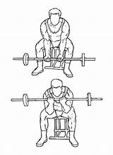 Barbell Seated Curl sketch template