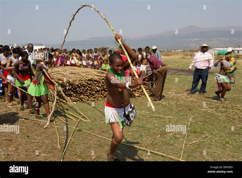 zulu doncellas entregar reed palos al rey zulú de baile en palacio