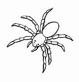 Ws School First Coloring Spiders Printable Pages Arachnids Spider Activities sketch template