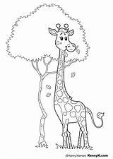 Jirafa Educima Giraffe sketch template