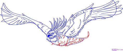 draw  phoenix bird  flames step  drawings bird drawings