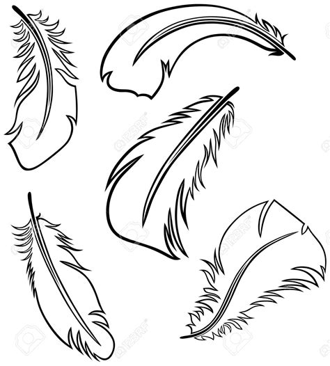 feather outline drawing  getdrawings