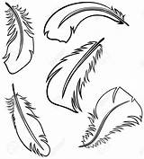 Feather Outline Clipart Feathers Drawing Clip Cliparts Illustration Set Cartoon Stock Simple Library Plume Vector Royalty Easy Getdrawings Clipartmag Designs sketch template