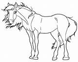 Paarden Kleurplaten Kleurplaat Paard Animaatjes Tekening Equine Voor Cavalo Coloriages Leuk Paardenhoofd sketch template