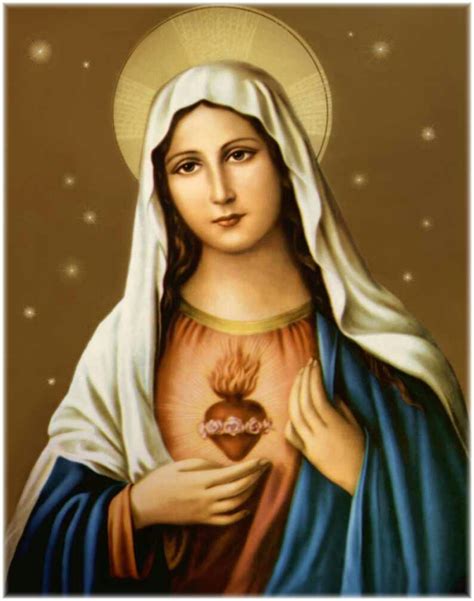 virgen maria madre de jesus