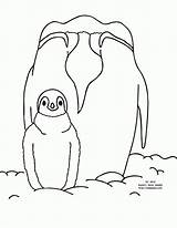 Penguin Emperor Coloring Print Popular Baby Coloringhome Cartoon sketch template