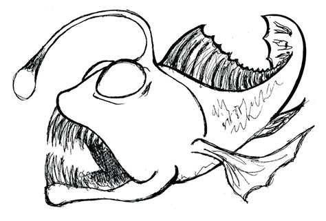 clown fish drawing  getdrawings