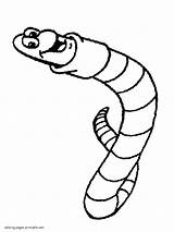 Pages Coloring Kids Earthworm Worm Printable Worms Animal sketch template