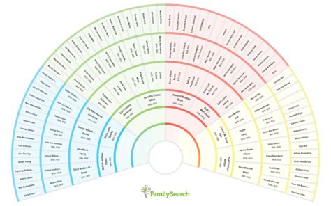 genealogy fan chart print family tree template