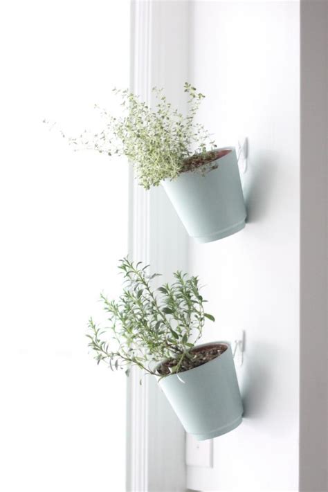 hanging herb planters indoor herb garden