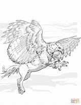 Centaur Grifo Kolorowanki Hippogriff Maravilhoso Colorir Desenhos Druku Dungeons Buckbeak sketch template