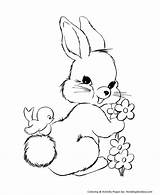 Easter Coloring Bunny Pages Flowers Honkingdonkey sketch template