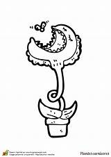 Plante Coloriage Carnivore Colorier Mouche Dessiner Gobe Qui Grimpante Fleurs Hugolescargot sketch template