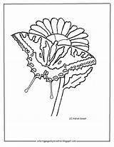 Swallowtail Adron sketch template