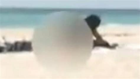 brekkie wrap couple caught having sex on a florida beach