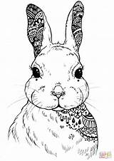 Dementia Patients Zentangle Hase Rabbits Hare Healthcarechannel Rabbit sketch template