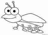 Bug Coloring Pages Bugs Insects Printable Kids Template Cool2bkids Designlooter 508px 54kb sketch template