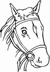 Cheval Imprimer Tete Horses Ancenscp sketch template