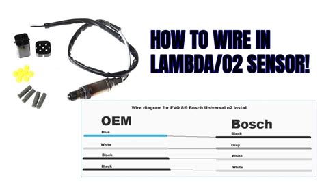 bosch oxygen sensor wiring diagram vauxhall lambda sensor wiring diagram diagram base website