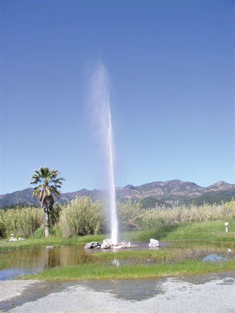 faithful geyser  california geyser calistoga california united states britannica