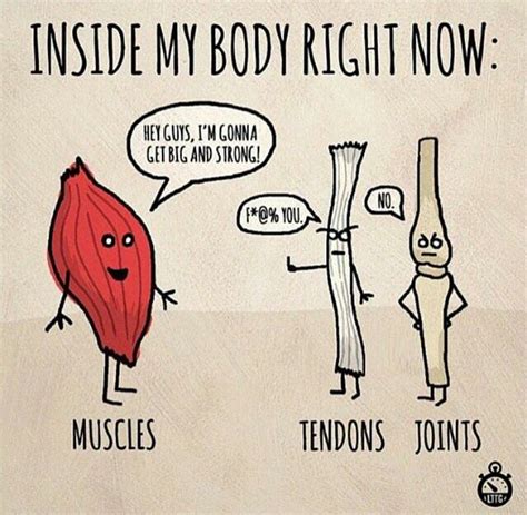 my body hates me lol workout humor workout memes gym humor