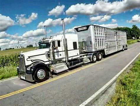 bull hauler kenworth trucks cattle trailers trucks