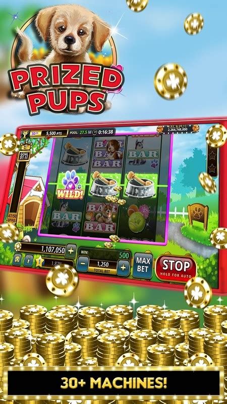 slots billionaire slot games apk  casino android game