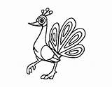 Peafowl Indian Coloring Coloringcrew Getdrawings Drawing sketch template