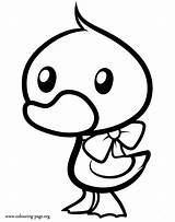 Duck Colouring Duckling sketch template