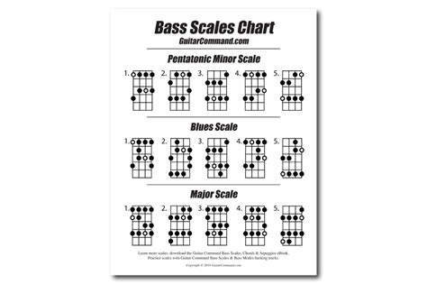Bass Scales Chords And Arpeggios Pdf
