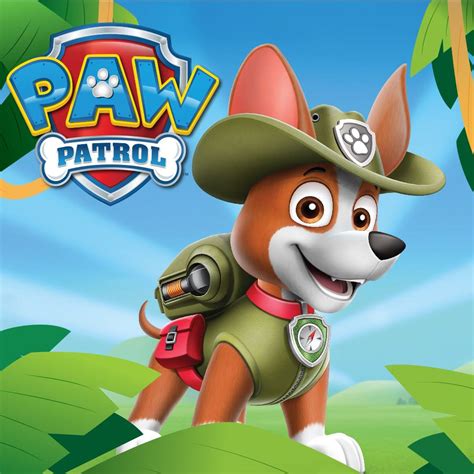 nickalive meet tracker  latest paw patrol recruit