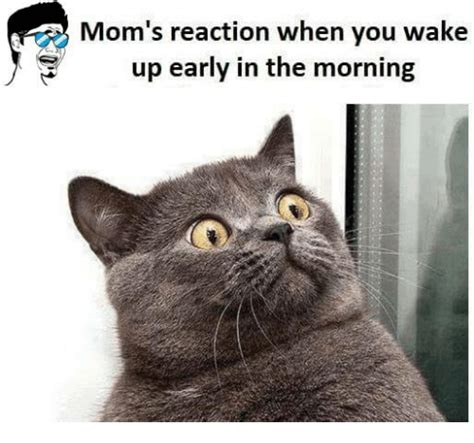 Mom S Reaction When You Wake Up Early In The Morning