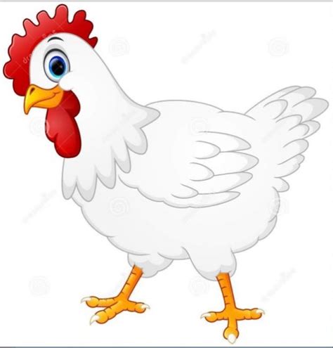 gambar kartun ayam