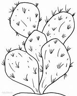 Cactus Coloring Pages Printable Desert Plant Plants Kids Drawing Cute Print Barrel Color Sheet Parts Saguaro Cool2bkids Loader Cartoon End sketch template
