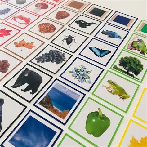 montessori card set color matching cards digital printable etsy