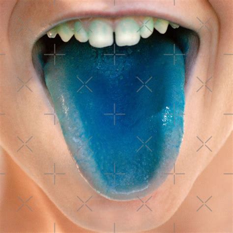 blue tongue  buckwhite redbubble