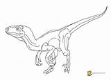 Coloring Velociraptor Pages Dinosaur Raptor Jurassic Blue Husband Print Wife Color Getcolorings Printable Getdrawings Colorin Clipart Colorings Library Popular Lingo sketch template