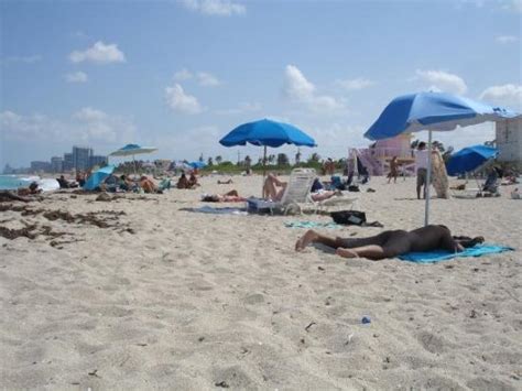 haulover beach pictures travel guide