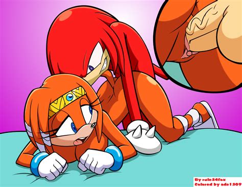 1429914 knuckles the echidna sonic team tikal the echidna adc1309