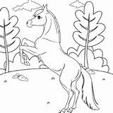 Rearing Stallion sketch template