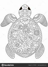 Tortue Volwassenen Adulte Coloring Adultes Stress Zeeschildpad Sea Schildpad Schildkröte Ausmalen Erwachsene Fabuleux Mandalas Antistress Zentangle sketch template