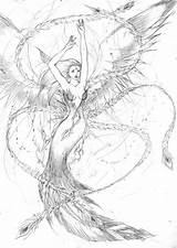 Phoenix Rising Coloring Pages Maiden Pheonix Deviantart Template sketch template