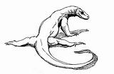 Komodo Dragon Colornimbus sketch template