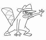 Perry Platypus Coloring Pages Getcolorings Printable sketch template