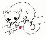 Possum Drawing Pages Coloring Draw Tail Brush Hanging Deviantart Days Getdrawings Aboriginal sketch template