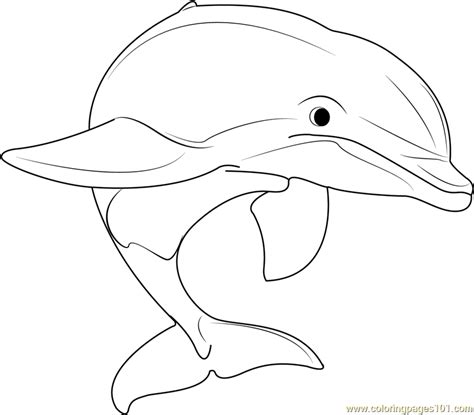 beautiful dolphins coloring page  kids  dolphins printable