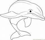 Coloring Dolphins Dolphin Beautiful Pages Coloringpages101 Kids sketch template