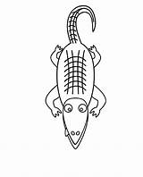Coloring Pages Alligator Kids sketch template